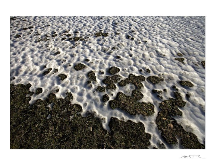 La spiaggia d’erba