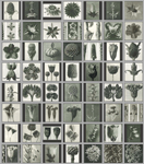 Schermata 2013-03-09 a 12.21.23