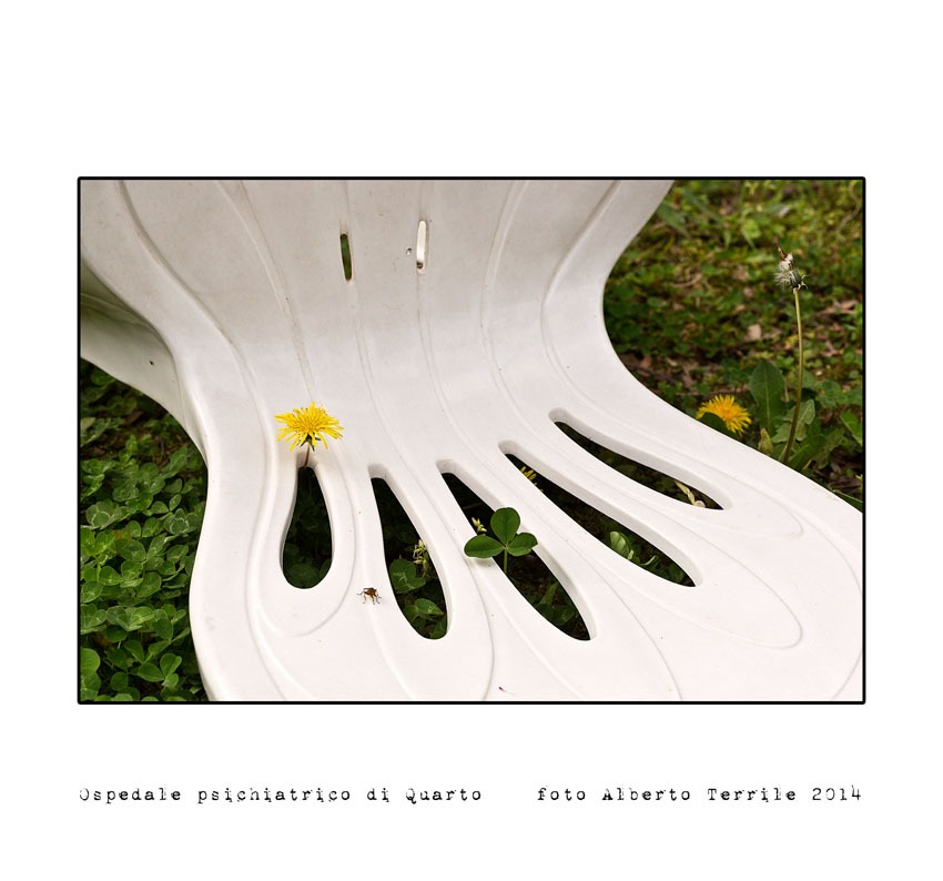 Senza titolo-1